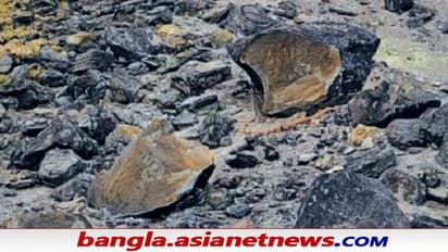 ভেঙে দুখণ্ড 'খুনে পাথর', বেরিয়ে গেল অশুভ আত্মা - জাপান জুড়ে তীব্র আতঙ্ক-ভয়