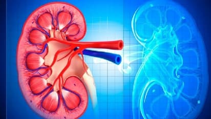 Do you have kidney problems? Know types of genetic diseases that affect kidneys