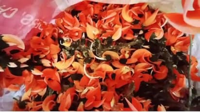 নিরাপদ থাকুন আনন্দে মাতুন, রেঙে উঠুন পলাশের আবিরে