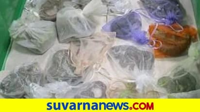 ಕಸ್ಟಮ್ಸ್‌ ಅಧಿಕಾರಿಗಳಿಗೆ ವ್ಯಕ್ತಿಯ ಬಟ್ಟೆಯೊಳಗೆ  ಸಿಕ್ತು 52 ಜೀವಂತ ಹಾವು, ಹಲ್ಲಿ