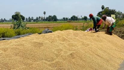 ఏపీ ధాన్యానికి అనుమతి లేదు.. సరిహద్దుల్లోనే అడ్డుకుంటున్న తెలంగాణ పోలీసులు