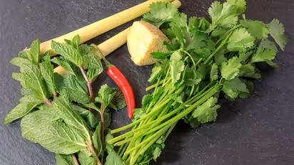 ताजी धनिया-पुदीना डालने के बाद भी हरी नहीं रहती चटनी, तो आजमाएं ये टिप्स, 15 दिन तक रहेगी ताजी