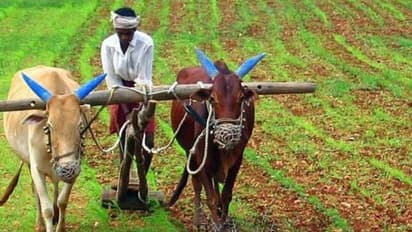 விவசாயிகளுக்கு பரிசு..யாரெல்லாம் பெறலாம்..? தமிழக அரசு ஆணை வெளியீடு..