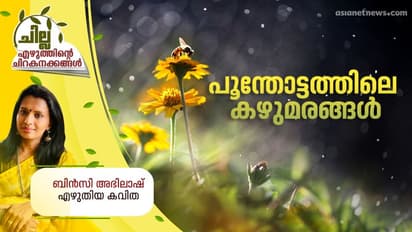 Malayalam Poem : പൂന്തോട്ടത്തിലെ കഴുമരങ്ങള്, ബിന്സി അഭിലാഷ് എഴുതിയ കവിത