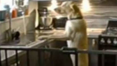 നായ ടാപ്പ് ഓണാക്കാൻ പഠിച്ചു, വീടിനുള്ളിൽ വെള്ളം, നാലുലക്ഷം രൂപയുടെ നഷ്ടം!