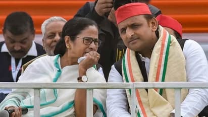 অখিলেশের হয়ে মমতার প্রচার ব্যর্থ নয়, প্রমাণ দিল উত্তরপ্রদেশের পোস্টাল ব্যালটের ফল