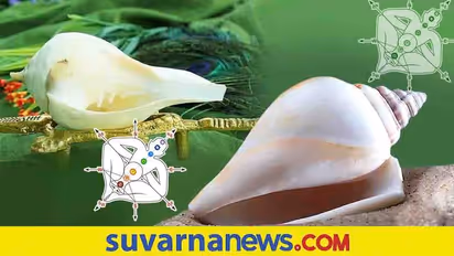 ಹಣಕಾಸು ಸಮೃದ್ಧಿಗೆ ಮನೆಯಲ್ಲಿರಲಿ ಈ ಶಂಖ!