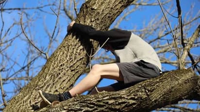 മരത്തിൽ പൂച്ച കുടുങ്ങി, പൂച്ചയെ രക്ഷിക്കാൻ യുവാവ് കയറി, ഒടുവിൽ യുവാവിനെ രക്ഷിക്കാൻ ഫയർ ഫോഴ്സ്