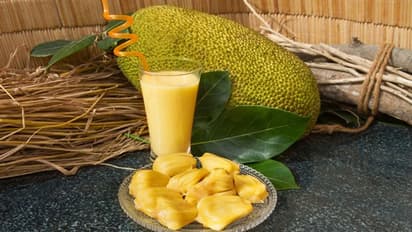 Jack Fruit Juice: தொடர்ச்சியாக 5 நாட்கள் பலாப்பழ ஜூஸ் குடித்தால் இந்த நோய் ஓடிப் போகும்!
