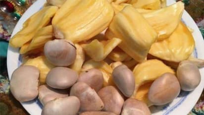 பாலுணர்வு பிரச்னைக்கு பாலமிடும் பலாப்பழ கொட்டைகள்..!!