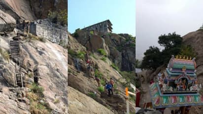 Travel: பர்வதமலையில் மறைக்கப்பட்ட மர்மங்கள்..திகிலாக ஒரு வழி பாதை..நாய்கள் உருவில் துணையாய் வரும் சித்தர்கள்!