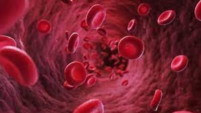 രക്താര്ബുദം ; ഈ 8 ലക്ഷണങ്ങൾ അവഗണിക്കരുത്