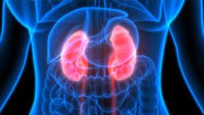 Bengaluru Crime: ಕಿಡ್ನಿ ಖರೀದಿಸುವ ಹೆಸರಲ್ಲಿ ಜನರಿಗೆ ಮಕ್ಮಲ್ ಟೋಪಿ ಹಾಕಿದ ಖದೀಮರು..!