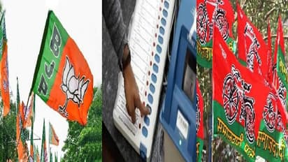 EVM में BJP का सेंसेक्स हुआ हाई पोस्टल बैलेट में आई गिरावट, अयोध्या की पांचों सीटों में खूब दौड़ी साइकिल