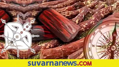 Vastu Remedies: ಕೆಂಪುಚಂದನದ ಈ ಪರಿಹಾರಗಳು ಎಷ್ಟೆಲ್ಲ ಸಮಸ್ಯೆ ನೀಗಿಸುತ್ತವೆ ಗೊತ್ತಾ?