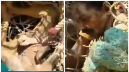 കിണർ വൃത്തിയാക്കുന്നതിനിടെ മണ്ണിടിഞ്ഞു; തൊഴിലാളിയുടെ കഴുത്തുവരെ മണ്ണായി, മണിക്കൂറുകള്ക്ക് ശേഷം രക്ഷപ്പെടുത്തി