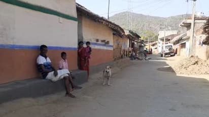 মাসের পর মাস কোটশিলায় নিখোঁজ গবাদি পশু, অবশেষে ট্র্যাপ ক্যামেরায় ধরা পড়ল চিতা বাঘের হামলার ছবি