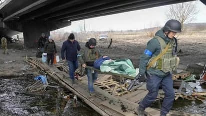 Russia Ukraine war Day 19: The latest developments