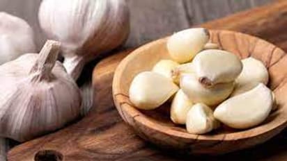 Garlic: వెల్లుల్లిని ఇలాంటి వారు తినకూడదు..