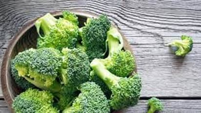 Fiber Rich Foods :  ഫെെബർ അടങ്ങിയ ഭക്ഷണങ്ങൾ കഴിക്കുന്നത് ശീലമാക്കൂ, കാരണം ഇതാണ്