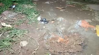 জল তুলতে গিয়ে বোমার আঘাতে জখম ২ মহিলা, বোমাবাজিকে কেন্দ্র করে উত্তপ্ত ভাটপাড়া