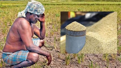 'விவசாயிகள் அதிர்ச்சி' இனி இந்த ரக நெல் கொள்முதல் இல்லை.. தமிழக அரசு எடுத்த அதிரடி முடிவு !