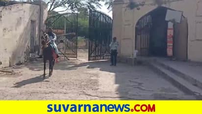 ಕಾಲೇಜ್‌ ಹೋಗಲು ಬೈಕ್‌ ಅಲ್ಲ ಕುದುರೆ ಖರೀದಿಸಿದ ಯುವಕ