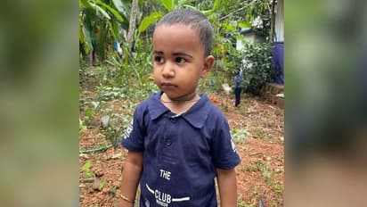 Rat Poison : എലിവിഷത്തിന്റെ ഉപേക്ഷിച്ച ട്യൂബെടുത്ത് വായില് തേച്ച മൂന്നു വയസുകാരന് മരിച്ചു