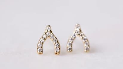 বাড়িতে রাখার প্রয়োজন নেই, এই গুড লাক চার্মগুলি হবে আপনার সঙ্গী