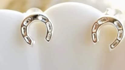 বাড়িতে লাগিয়ে রাখুন ঘোড়ার নাল, সন্তান-পরিবার রক্ষা পাবে শনির কোপ থেকে