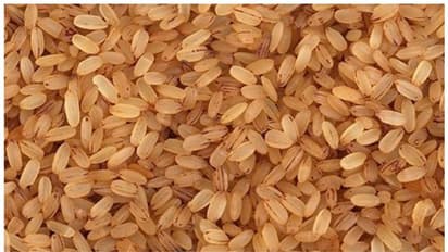 കഞ്ഞികുടി മുട്ടും, അരിവില കുതിച്ചുയരുന്നു; നോമ്പ് കാലത്തും കോഴിവിലയില് വന് വര്ധന