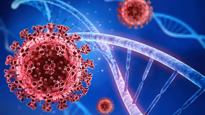 Covid 19 : കൊവിഡ് 19 ; നാലാം തരംഗത്തിനുള്ള സാധ്യത കുറവെന്ന് പ്രമുഖ വൈറോളജിസ്റ്റ്