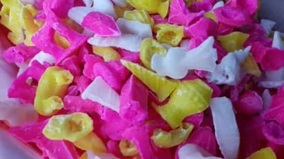 দোলের সময় মিষ্টিমুখ মানেই 'মঠ', পর্তুগীজদের এই মিঠাই আজ বাংলার ঘরে ঘরে