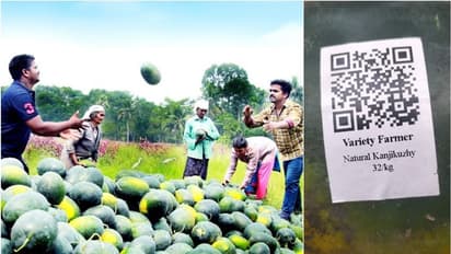 തണ്ണിമത്തനിലും ക്യൂ ആർ കോഡ്, വിഷമില്ലാത്ത ഫലം തിരിച്ചറിയാനെന്ന് കർഷകൻ