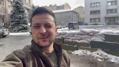 এবার ঘুম ভাঙবে এক কাপ 'জেলেনস্কি'-তে, বাজারে এল অসমের অ্যারোম্যাটিক টি