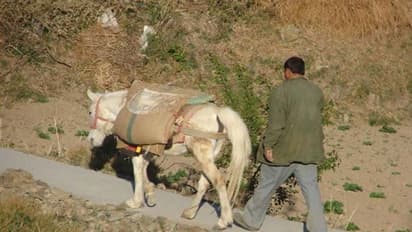 पिता और बेटा गधे पर बैठकर जा रहे थे, लोगों ने कहा ’कितने निर्दयी है, दोनों पैदल चलने लगे…फिर क्या हुआ?