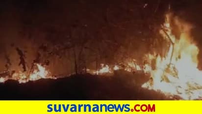 Chikkamagaluru: ಆಕಸ್ಮಿಕ ಬೆಂಕಿಗೆ ಸುಟ್ಟು ಭಸ್ಮವಾದ ಅರಣ್ಯ ಪ್ರದೇಶ 