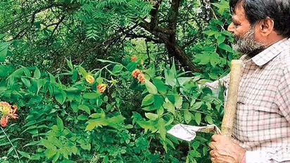 Jungle Paradise : എത്ര വില കൊടുത്താലും ആര്ക്കും വാങ്ങാന് കഴിയാത്ത 70 ഏക്കര് ഭൂമി!