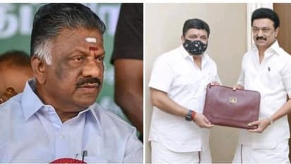 மகளிர் உரிமைத் தொகை ரூ.1000 வழங்குவதாக மக்களை ஏமாற்றிய திமுக...! ஓபிஎஸ் குற்றச்சாட்டு