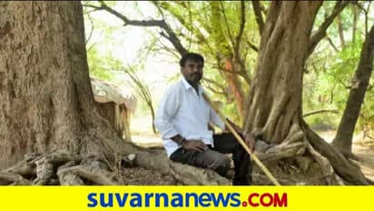 ಪೂರ್ವಜರ ಭೂಮಿಯಲ್ಲಿ ಸ್ವಂತವಾಗಿ ಅರಣ್ಯ ಬೆಳೆಸಿದ ಪ್ರಕೃತಿ ಪ್ರೇಮಿ