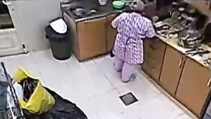 Indian maid in Kuwait kept adding filth to employer's food for a year
