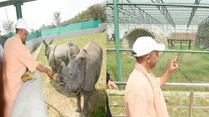 गोरखपुर चिड़ियाघर में व्यवस्थाओं का जायजा लेने पहुंचे CM योगी, असम से आए नए मेहमान 'हर और गौरी' से की मुलाकात