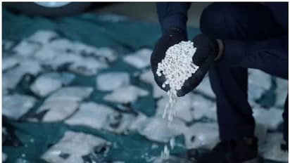 യാത്രകൾക്കായി ഒരുക്കിയിരുന്ന കാരവനില് നിന്ന് 16 ലക്ഷം മയക്കുമരുന്ന് ഗുളികകള് പിടികൂടി