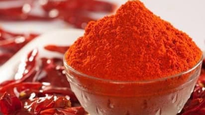 'നടപടിയില് തൃപ്തി പോര'; തൃശൂരിൽ എഴുപതുകാരി വനിതാ കമ്മിഷന് നേരെ മുളകുപൊടി എറിഞ്ഞു