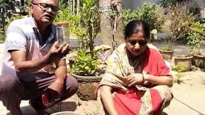 ভয়াবহ অস্ট্রেলিয়ান ট্যারান্টুলা মিলল দেগঙ্গায়, বোতলবন্দী করলেন গৃহকর্ত্রী