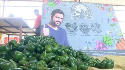 MS Dhoni ने होली पर दिया स्पेशल तोहफा, आम जनता के लिए खोल दिया अपना फार्म हाउस, सब कुछ सस्ते दामों में मिल रहा