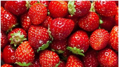 അറിയാം സ്ട്രോബെറി കഴിച്ചാലുള്ള ആരോ​ഗ്യ​ഗുണങ്ങളെ കുറിച്ച്...