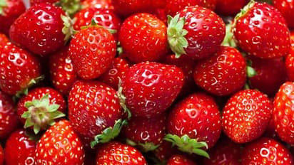 స్టాబెర్రీలు తింటున్నారా.. అయితే ఈ రహస్యాలు మీరు ఖచ్చితంగా తెలుసుకోవాల్సిందే!