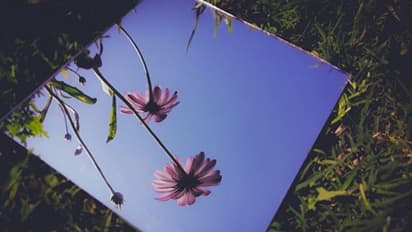 ভুলেও ঘরের এই জায়গায় আয়না রাখবেন না, জেনে নিন কোথায় সাধের ড্রেসিনটেবিল রাখলে সুখের হবে দাম্পত্য