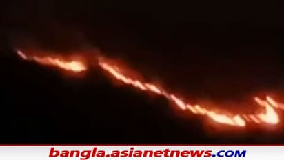 দাউদাউ করে জ্বলছে শুশুনিয়া পাহাড়ের বড় অংশ, আগুন নেভানোর মরিয়া চেষ্টা দমকল-বনকর্মীদের